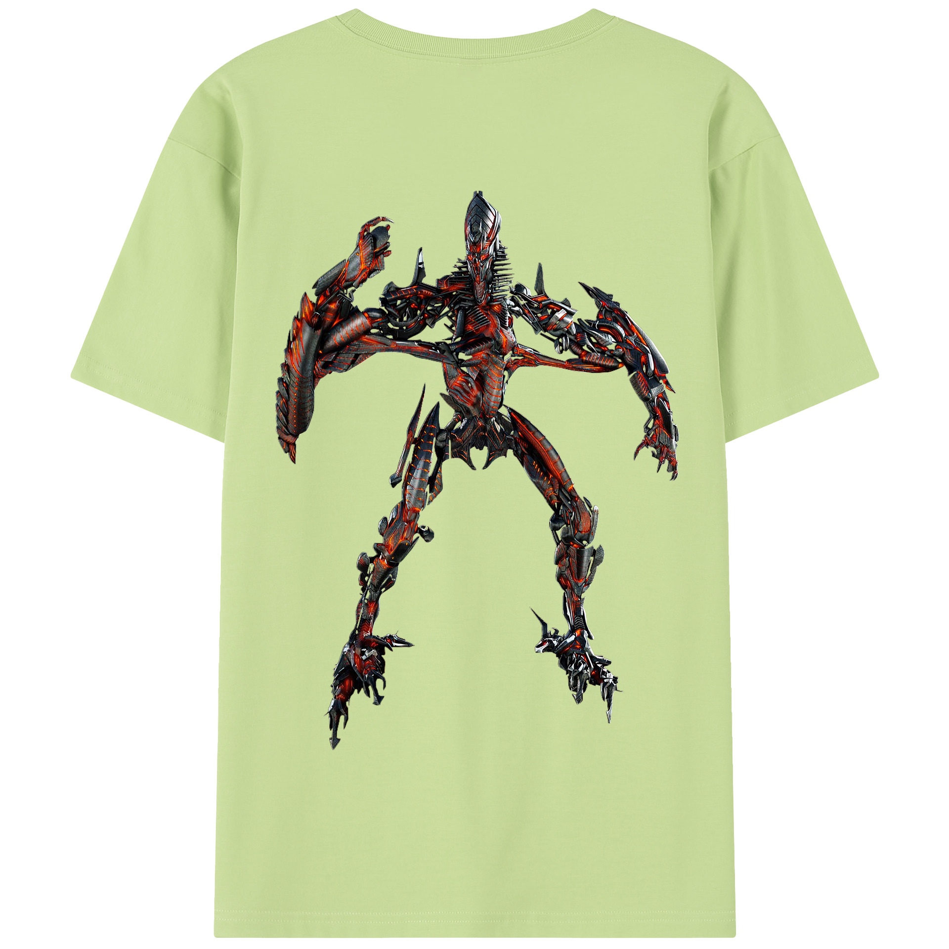 （画像用）  綿100％半袖Tシャツ（背面プリント）